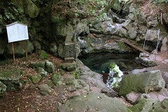 餐